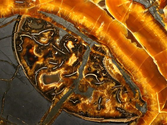 Tabletop - Slice of septaria with yellow calcite (simbircite)