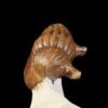 Asaphus punctatus LESSNIKOVA 1949 - Image 6