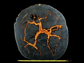 Tabletop - Slice of septaria with yellow calcite (simbircite)