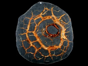 Tabletop - Slice of septaria with yellow calcite (simbircite)