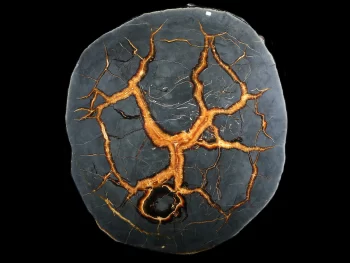 Tabletop - Slice of septaria with yellow calcite (simbircite)